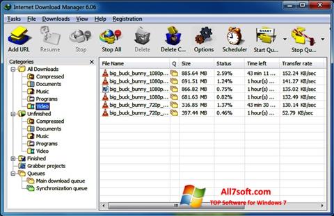 Screenshot Internet Download Manager per Windows 7