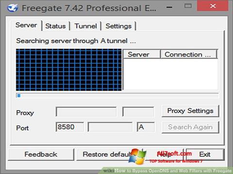 Screenshot Freegate per Windows 7
