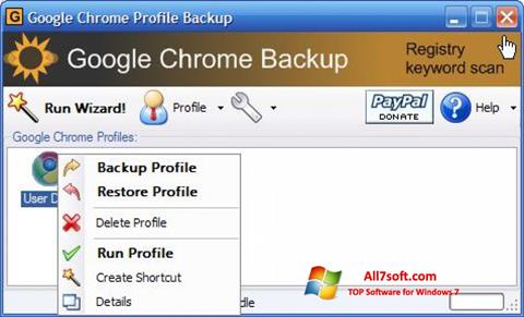 Screenshot Google Chrome Backup per Windows 7